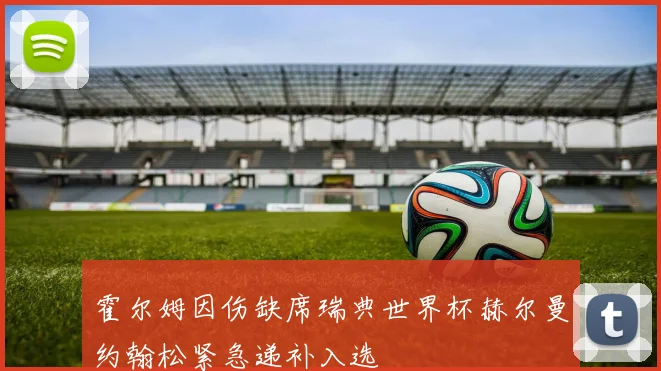 霍尔姆因伤缺席瑞典世界杯赫尔曼约翰松紧急递补入选
