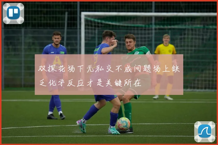 双探花场下无私交不成问题场上缺乏化学反应才是关键所在