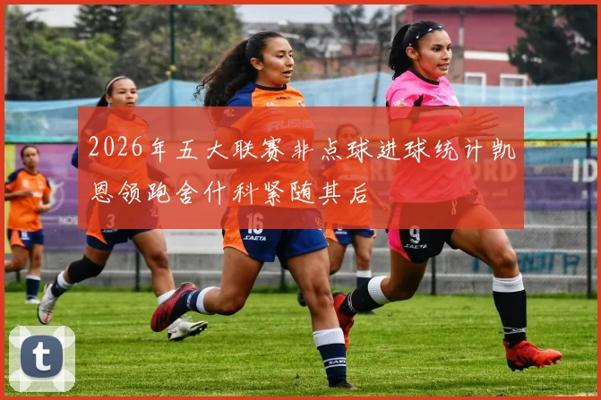 2026年五大联赛非点球进球统计凯恩领跑舍什科紧随其后