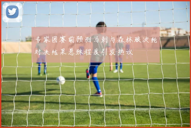 专家团赛前预测马刺与森林狼次轮对决结果悬殊程度引发热议