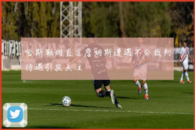 哈斯勒姆直言詹姆斯遭遇不公裁判待遇引发关注