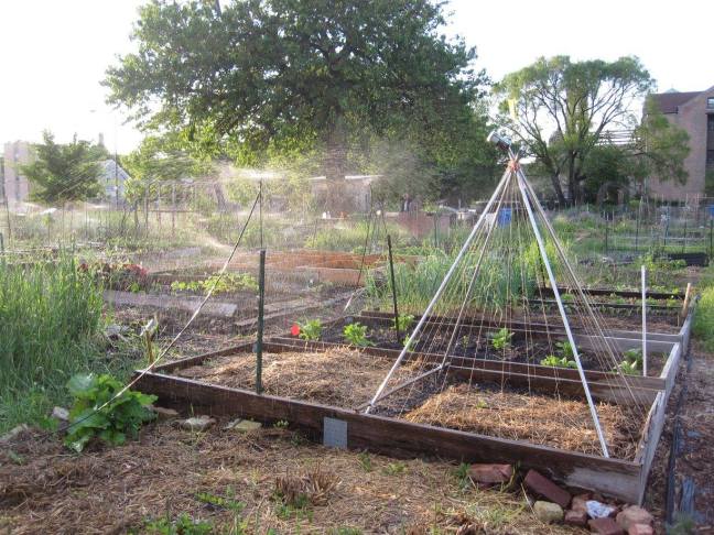 Running the Irrigation